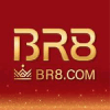 BR8 LOGO
